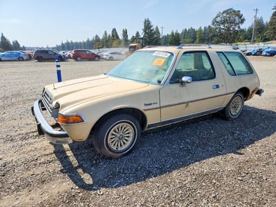 A9A687C1***** 1976 AMC Pacer 3.8