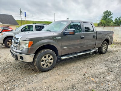 1FTFW1ET5DF****** 2013 Ford F-150