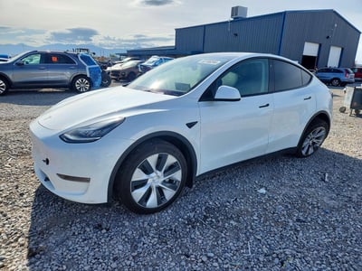7SAYGDEE6NF****** 2022 Tesla Model Y