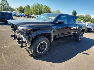 3TMLB5JN7RM****** 2024 Toyota Tacoma