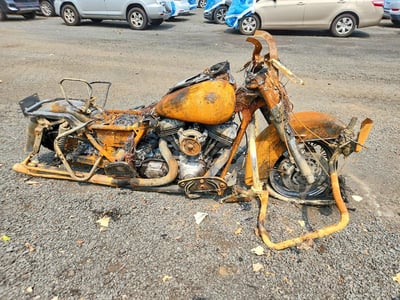 1HD1FVW144Y****** 2004 Harley-Davidson Flhti