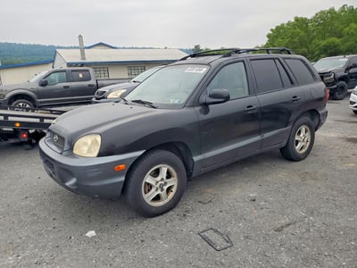 KM8SC73E44U****** 2004 Hyundai Santa Fe