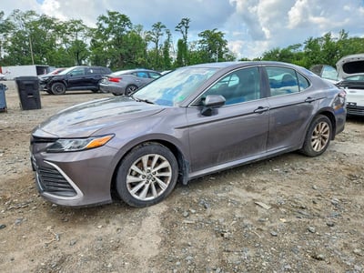 4T1C11BKXPU****** 2023 Toyota Camry
