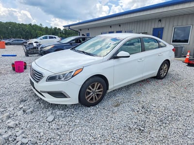 5NPE24AF0HH****** 2017 Hyundai Sonata