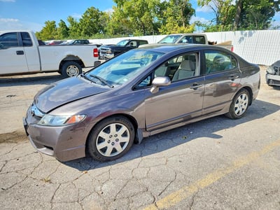 19XFA16549E****** 2009 Honda Civic