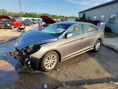 5NPE24AF6KH****** 2019 Hyundai Sonata