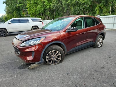 1FMCU9G61MU****** 2021 Ford Escape
