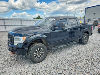 1FTFW1EF3EF****** 2014 Ford F-150