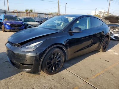 7SAYGDED2RF****** 2024 Tesla Model Y