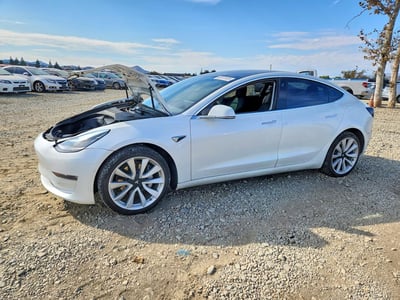 5YJ3E1EB7LF****** 2020 Tesla Model 3