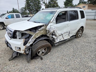 5FNYF48699B****** 2009 Honda Pilot
