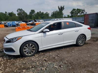 5NPE34AF5HH****** 2017 Hyundai Sonata
