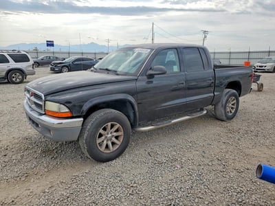1D7HG48N23S****** 2003 Dodge Dakota
