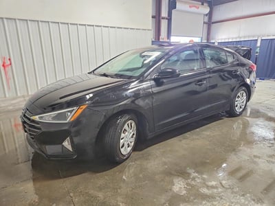 5NPD74LF5LH****** 2020 Hyundai Elantra