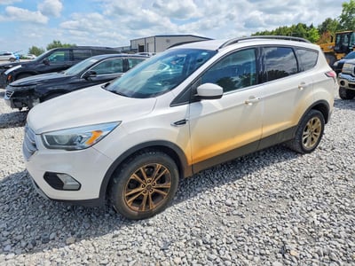 1FMCU9GD4HU****** 2017 Ford Escape