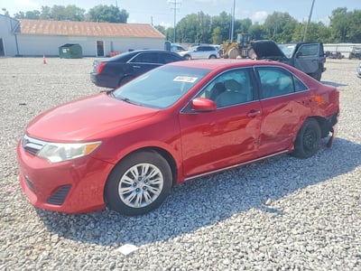 4T4BF1FK7DR****** 2013 Toyota Camry