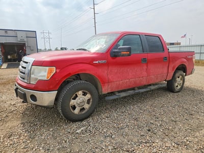 1FTFW1EV7AF****** 2010 Ford F-150