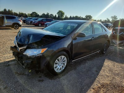 4T4BF1FK2DR****** 2013 Toyota Camry