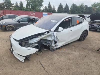 5YJYGDEEXMF****** 2021 Tesla Model Y