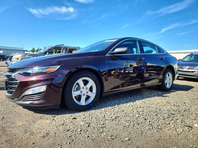 1G1ZB5ST1MF****** 2021 Chevrolet Malibu