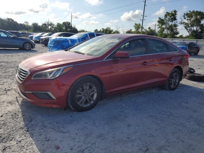 5NPE24AF8GH****** 2016 Hyundai Sonata