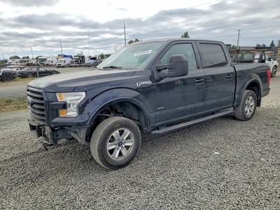 1FTEW1EP8HF****** 2017 Ford F-150