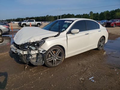 1HGCR2F59HA****** 2017 Honda Accord