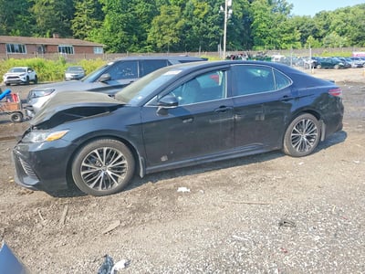 4T1B11HK7KU****** 2019 Toyota Camry