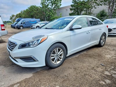 5NPE24AFXHH****** 2017 Hyundai Sonata