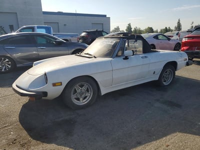 ZARBA5413C1****** 1982 Alfa Romeo Spider