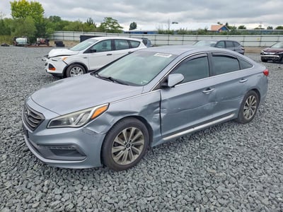 5NPE34AF6GH****** 2016 Hyundai Sonata