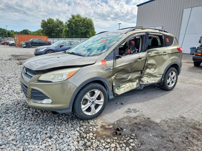 1FMCU9G99DU****** 2013 Ford Escape