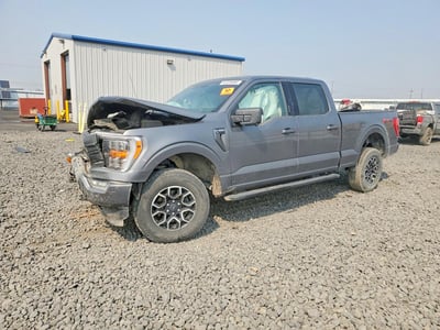 1FTFW1E89MK****** 2021 Ford F-150