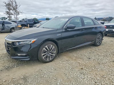 1HGCV3F59KA****** 2019 Honda Accord Hybrid