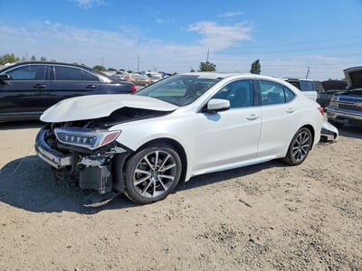 19UUB3F5XJA****** 2018 Acura TLX