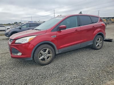 1FMCU9G99EU****** 2014 Ford Escape