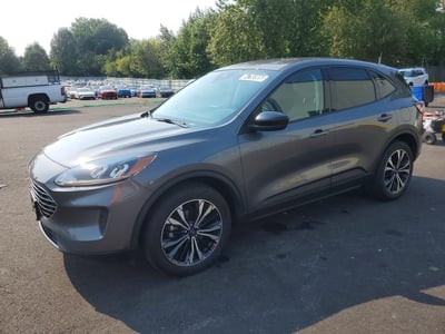 1FMCU9G61MU****** 2021 Ford Escape