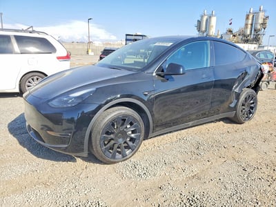 7SAYGDEE1PF****** 2023 Tesla Model Y