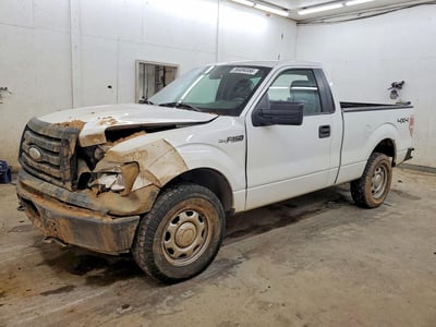 1FTRF14869K****** 2009 Ford F-150