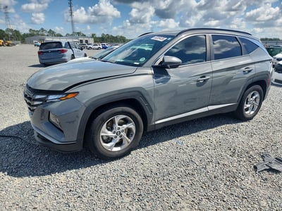 5NMJB3DE6RH****** 2024 Hyundai Tucson
