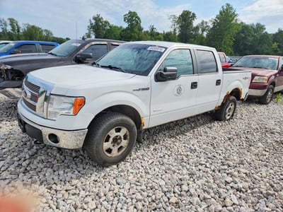 2013 Ford F-150