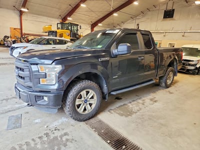 1FTEX1EP3FF****** 2015 Ford F-150