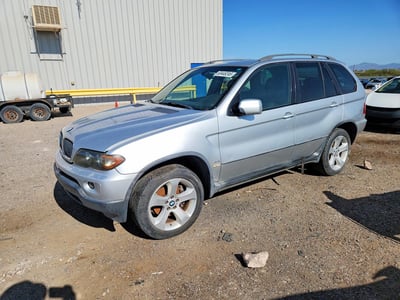 5UXFA13594L****** 2004 BMW X5