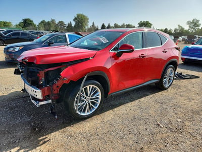 2025 Lexus NX 350h