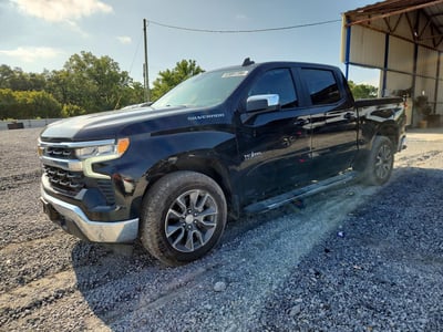 1GCPACED0RZ****** 2024 Chevrolet Silverado 1500