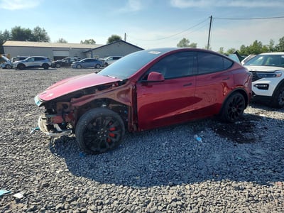 7SAYGDEE4SF****** 2025 Tesla Model Y