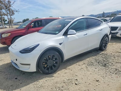 7SAYGDEE7PF****** 2023 Tesla Model Y