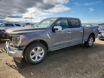 1FTFW1E87PF****** 2023 Ford F-150