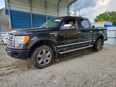 2010 Ford F-150