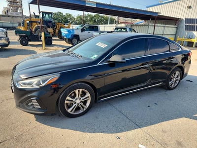 5NPE34AF8KH****** 2019 Hyundai Sonata